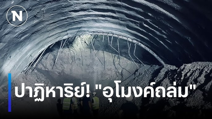 คุณป้าหวัง 王 tweet media