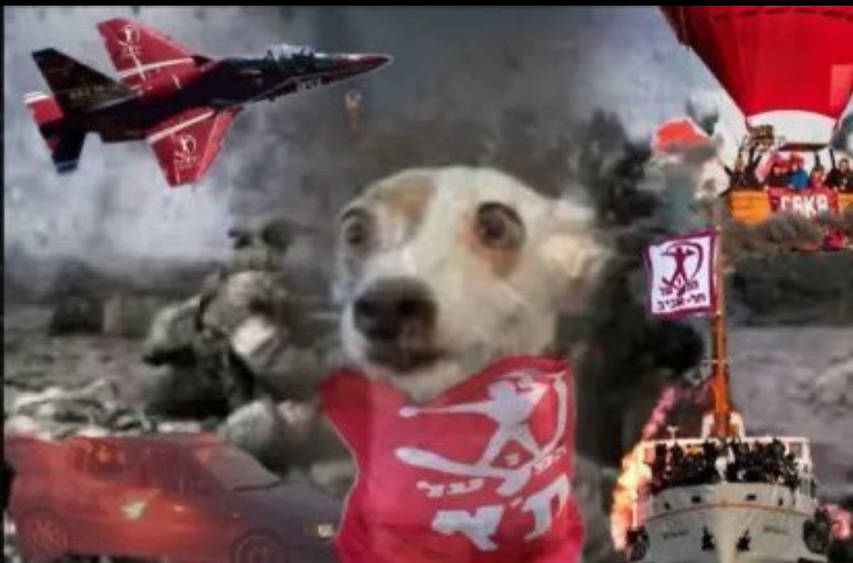 אלטמן נפצע באימון מסכם