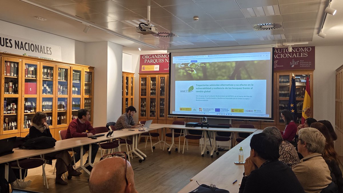 whatifbosques tweet media