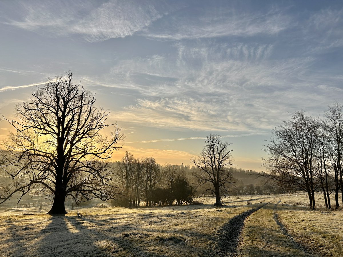 A Glorious Frosty Morning. -2°C. Rooks.