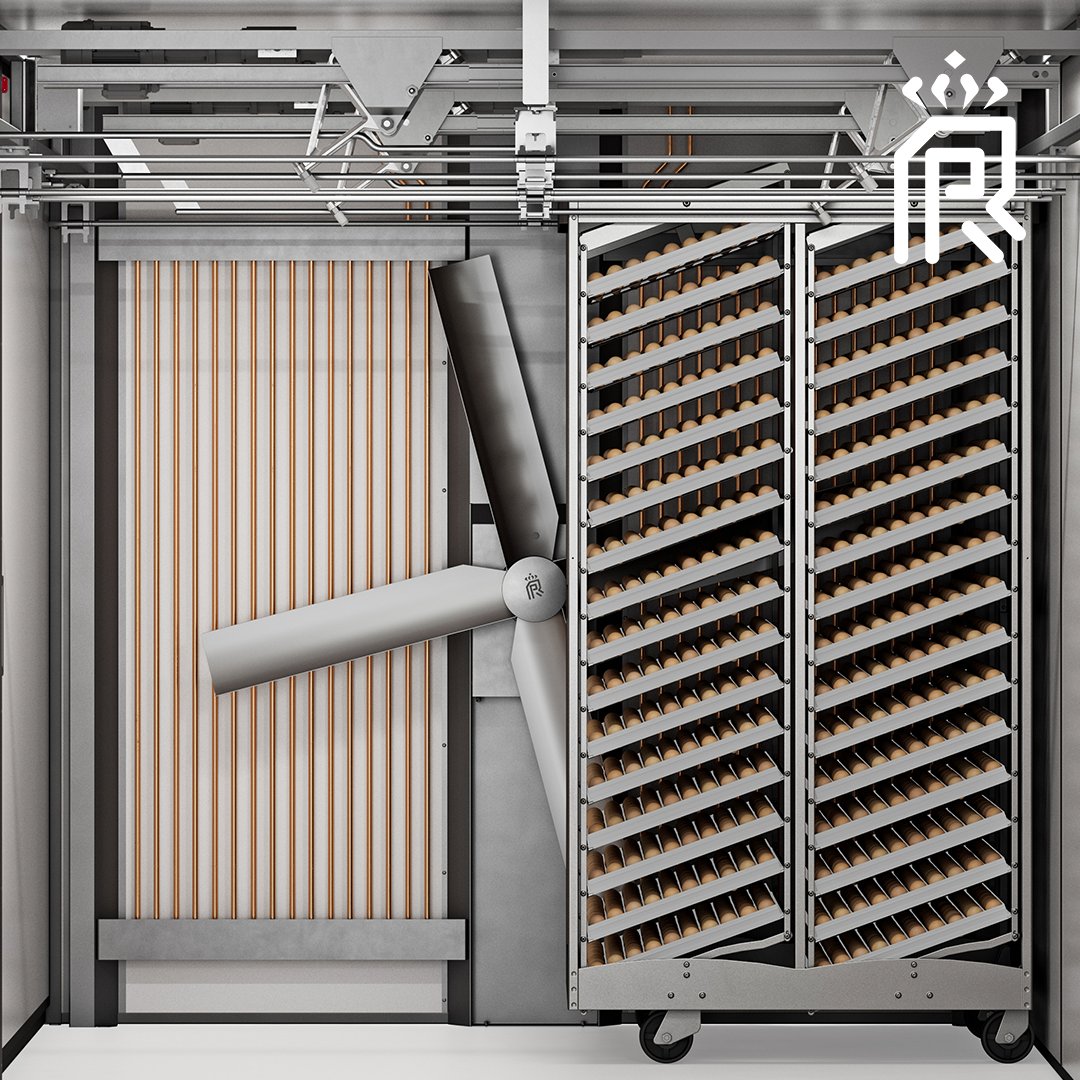 Royal Pas Reform tweet media