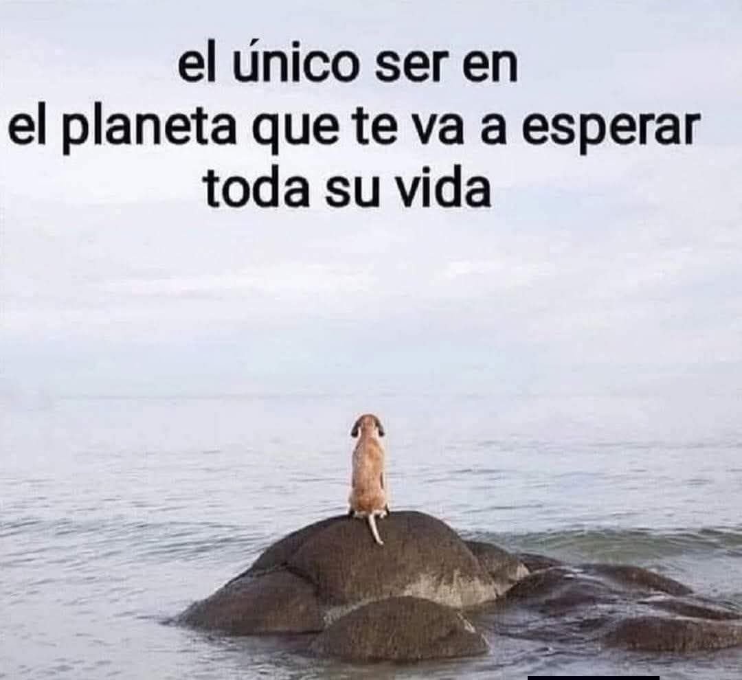 Y con el más puro amor... 🥹