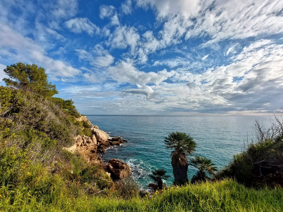 Bon diumenge! Miradors naturals com aquest ens recorden per què la costa de l’#AmetlladeMar és tan especial. Penya-segats, verd mediterrani i el blau infinit del mar que s’obre davant nostre. Sense presses. Sense filtres.

📸 c.gabarre a #Instagram