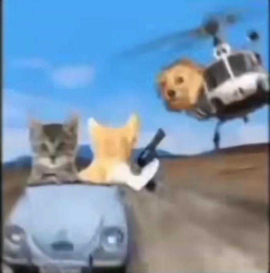 leikarabbit's tweet image. mais 4 horas que Deus me ajude