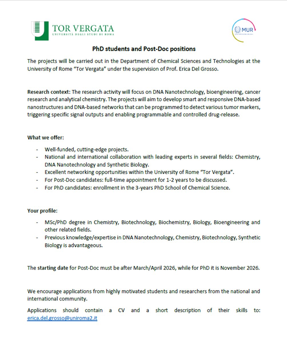 Erica Del Grosso tweet media