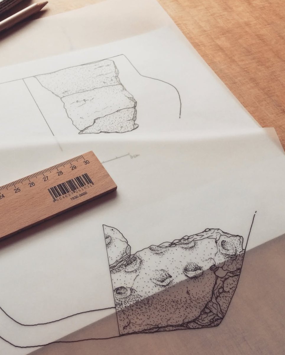 Arch Illu tweet media