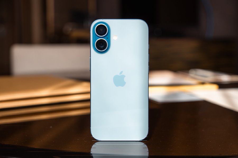 Noah Cat tweet media