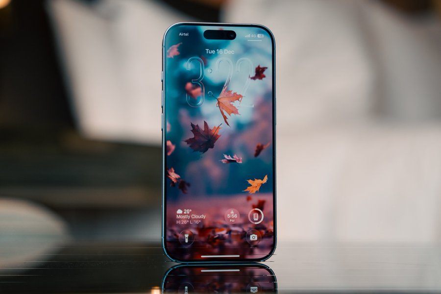 Noah Cat tweet media