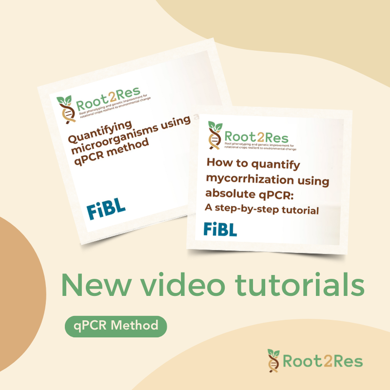 Root2Res tweet media
