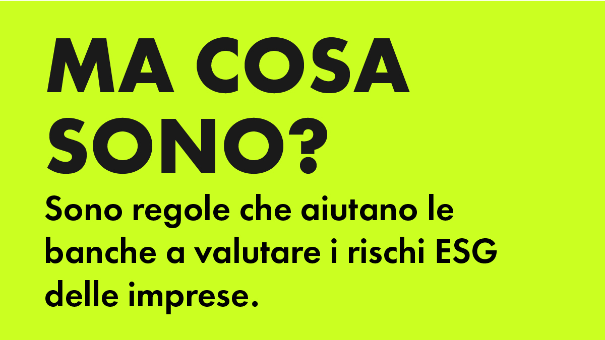 Ecozema HQ tweet media