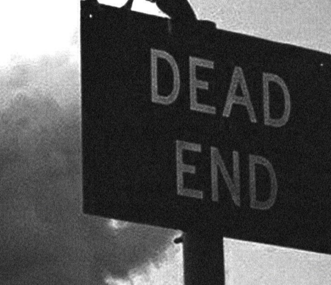 Humannotguilty's tweet image. Only 351 days left until 2027!”
But 20000 suicides have already been done.