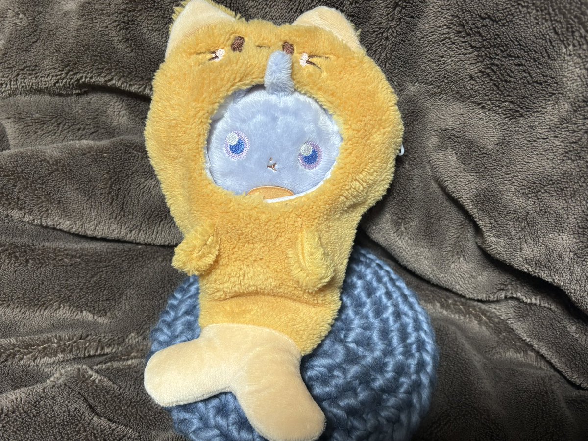 tonpagtomatokun's tweet image. このサイズのニャスパーぬい持ってなかったから色々着せて遊んでる笑