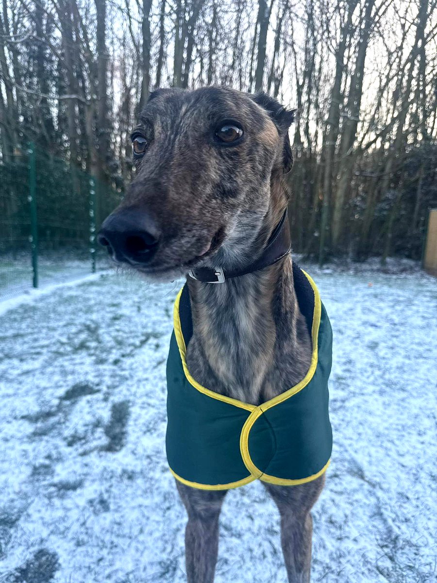 Blue Cross UK tweet media