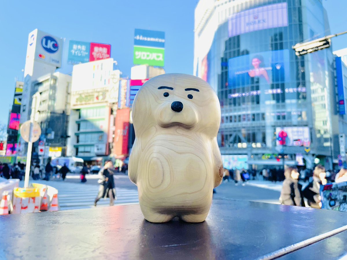 男前なアザラシ🦭✨