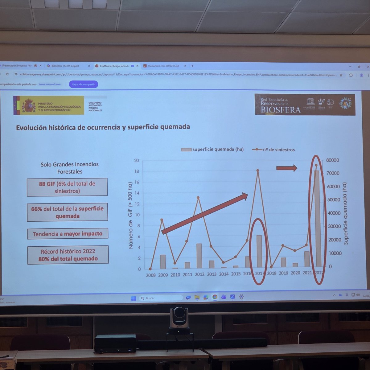 whatifbosques tweet media