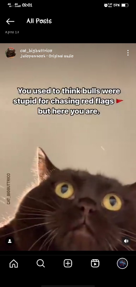 Bee's Knee 🐝 tweet media