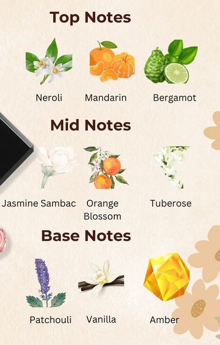 kingVarthur's tweet image. * المقدمة: نيرولي، مندرين، برغموت.

* الوسط: ياسمين، زهر البرتقال، مسك الروم.

* النهاية: باتشولي، فانيليا، عنبر.
#غموض #القوس