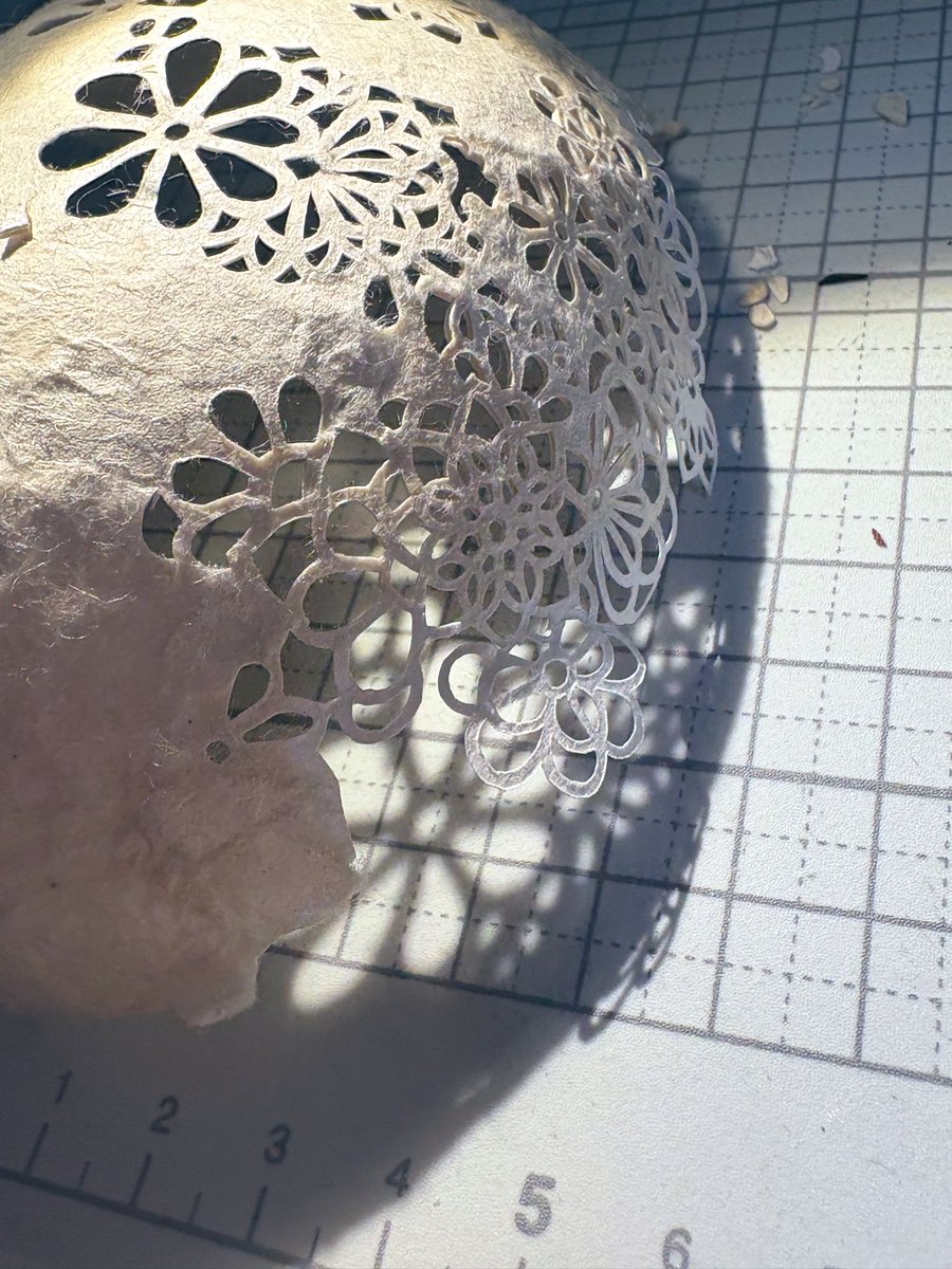 切り進んできた…！