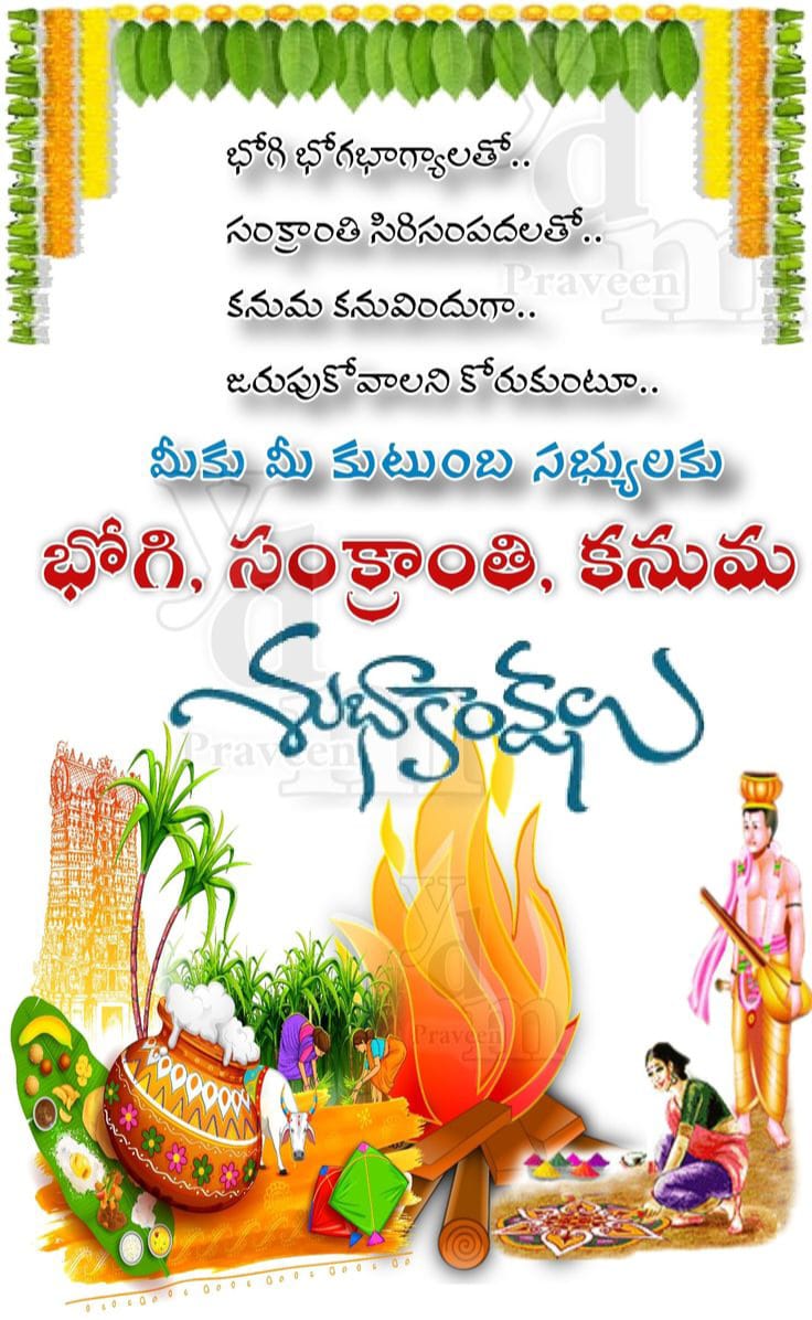 SHO Domalguda tweet media