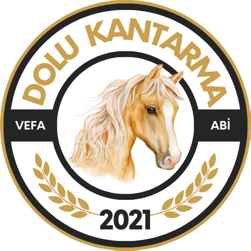 İstanbul'da sabit ihtimalli bahis için 3 atımızı saat 14.00'de ÜCRETSİZ olarak Vefa Abi İle Dolu Kantarma At Yarışı Yorumları Topluluğumuzda paylaşmış olacağız. Görmek için tıklayınız ➡️ chat.whatsapp.com/J773IAuS9QJJL5…