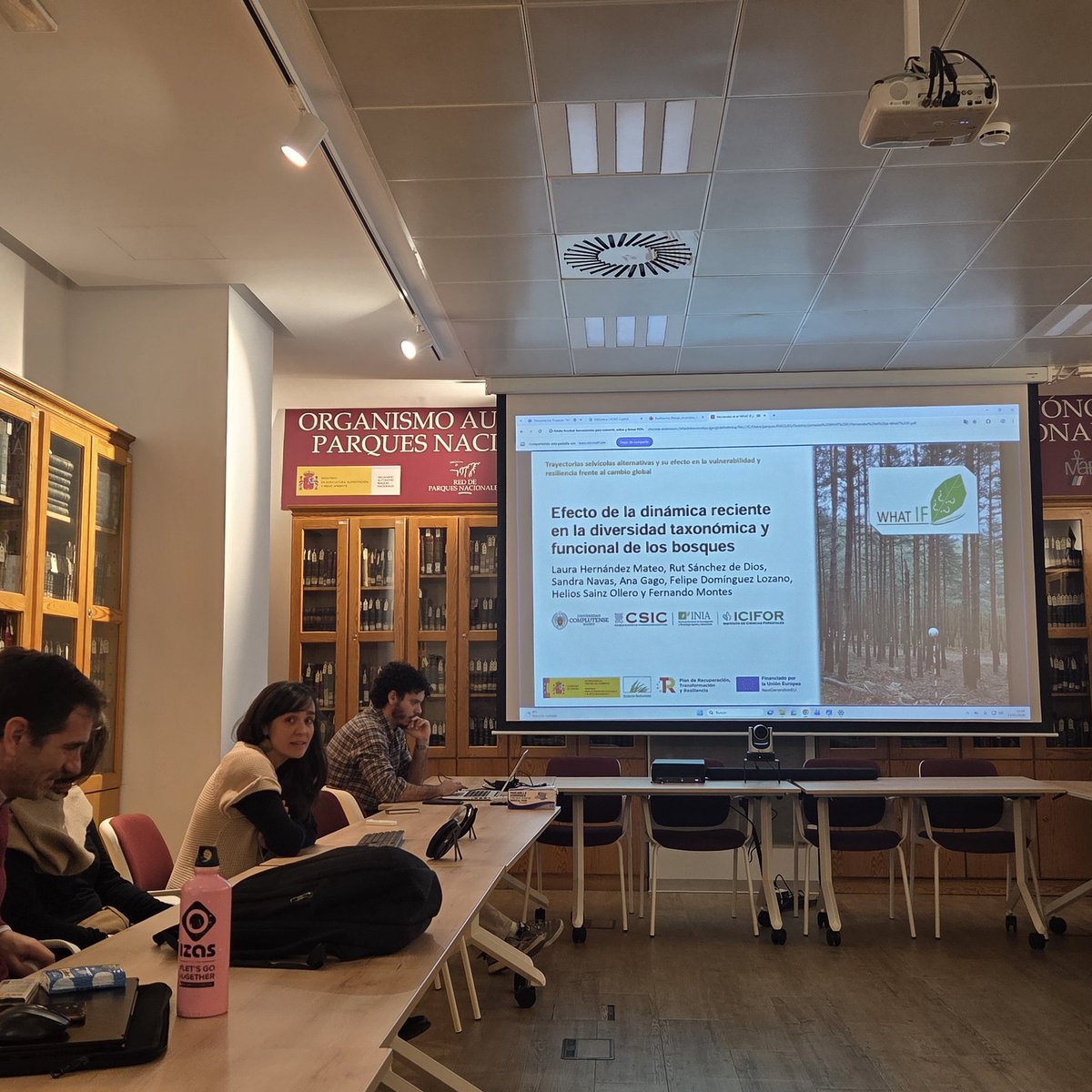 whatifbosques tweet media