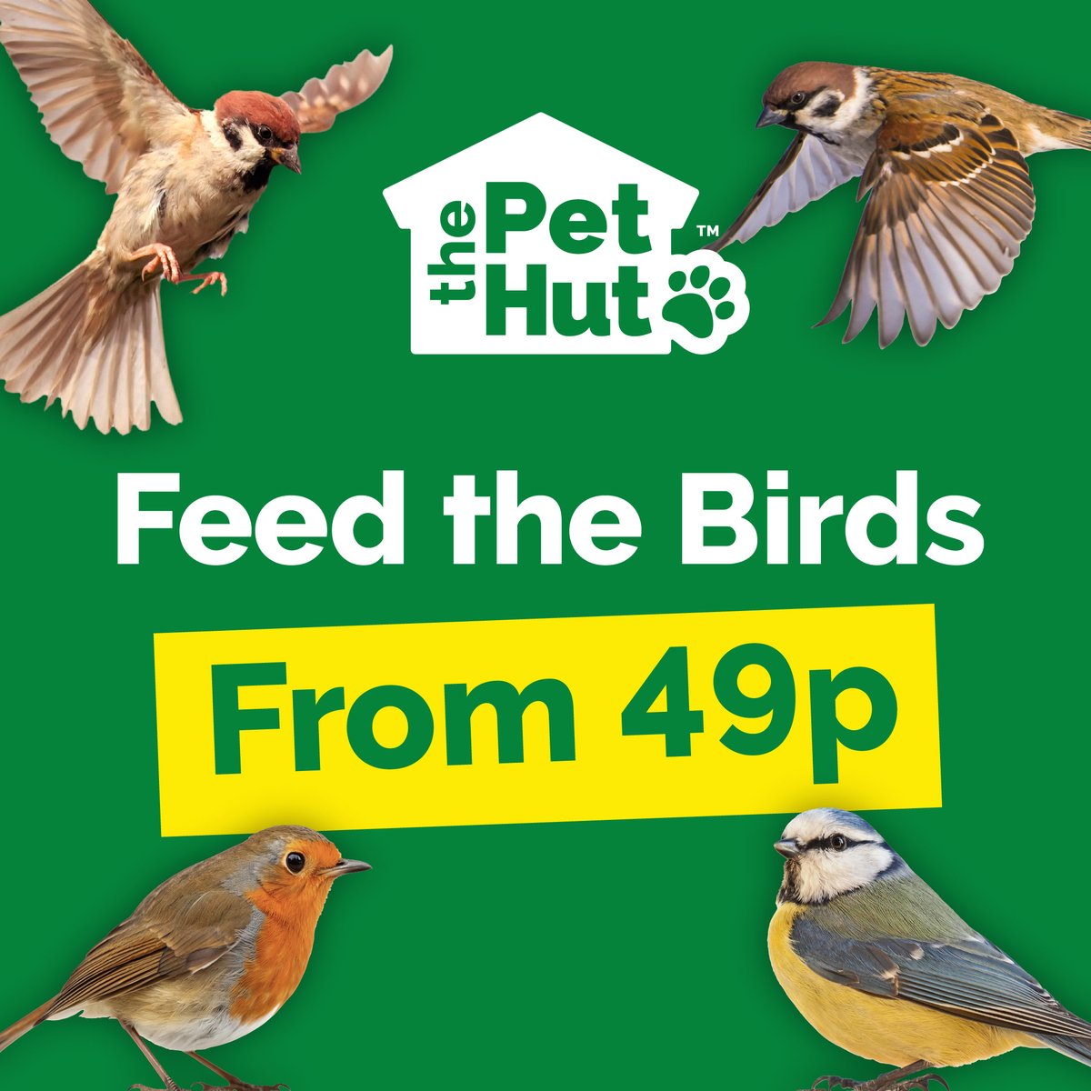 Poundstretcher1's tweet image. Keep your feathery friends well fed in the garden with a little help from Poundstretcher 🐦🌿

#wildbirds  #poundstretcher