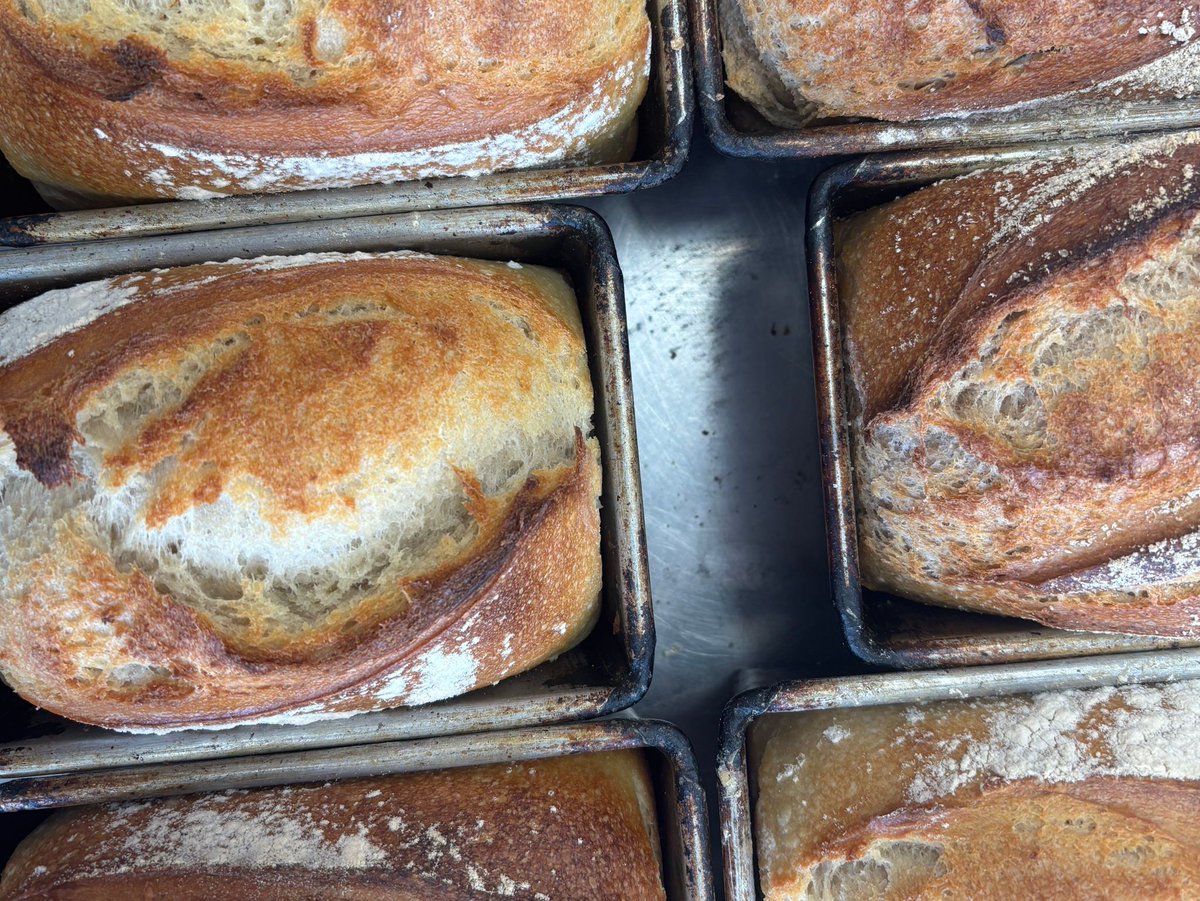 stonehambake's tweet image. Some fabulous loaves heading to @hangleton_food_bank this morning. a BIG THANK YOU to our  customers for their generous donations. 
#foodbank #loyalty #payitforward #socentbakers