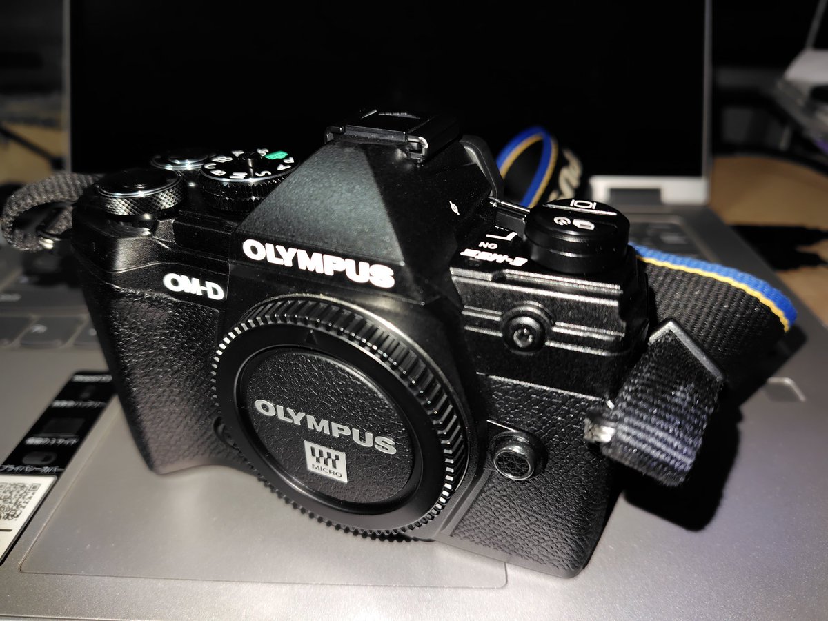 しろさと (@Duckn_2) / Posts / X