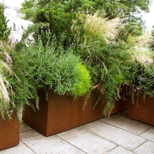 ThePeterBelton's tweet image. 𝘾𝙧𝙚𝙖𝙩𝙚 𝙎𝙩𝙪𝙣𝙣𝙞𝙣𝙜 𝙁𝙤𝙘𝙖𝙡 𝙋𝙤𝙞𝙣𝙩𝙨   

Make a bold statement by using Corten steel planters as focal points.

Their rich, rust-coloured patina naturally draws attention &amp;amp; adds an artistic touch to any space.  Learn more 👇
bit.ly/4jCxOAC 
#gardendesign