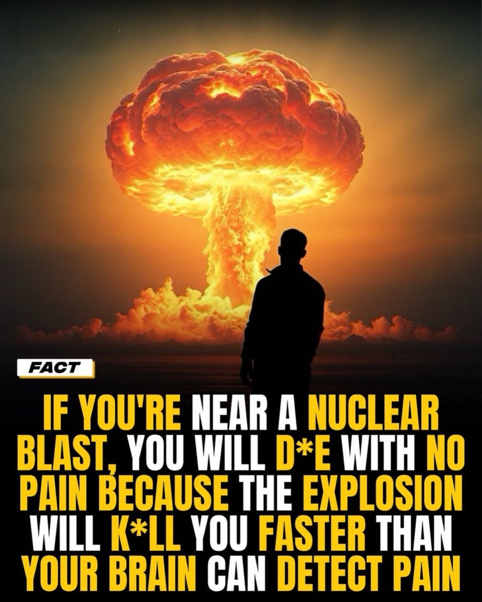 worldranking_'s tweet image. 