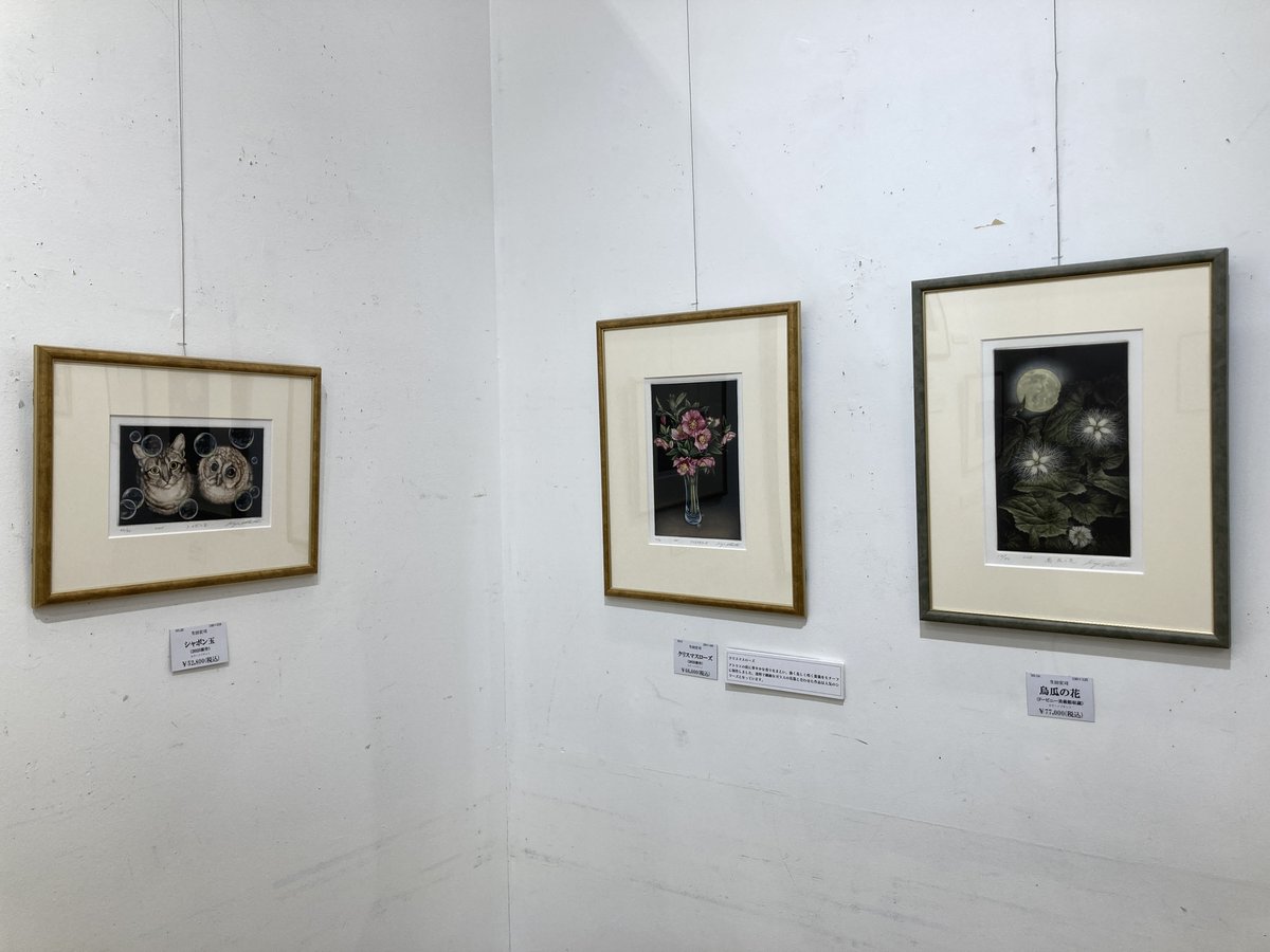 maruzenkyoto's tweet photo. 【地下2階ギャラリー】
「生田宏司銅版画展　～漆黒の宇宙に浮かび上がる愛しきもの～」開催中！
会期：1/7(水)～1/20(火)
「ふくろうの作家」とも呼ばれる、生田宏司さんの愛らしいふくろうをこの機会にぜひご覧ください。
作家生田宏司氏来場日：1/17(土)13:00～18:00 / 1/18(日)11:00～16:00 https://t.co/EHa5CiYXpm