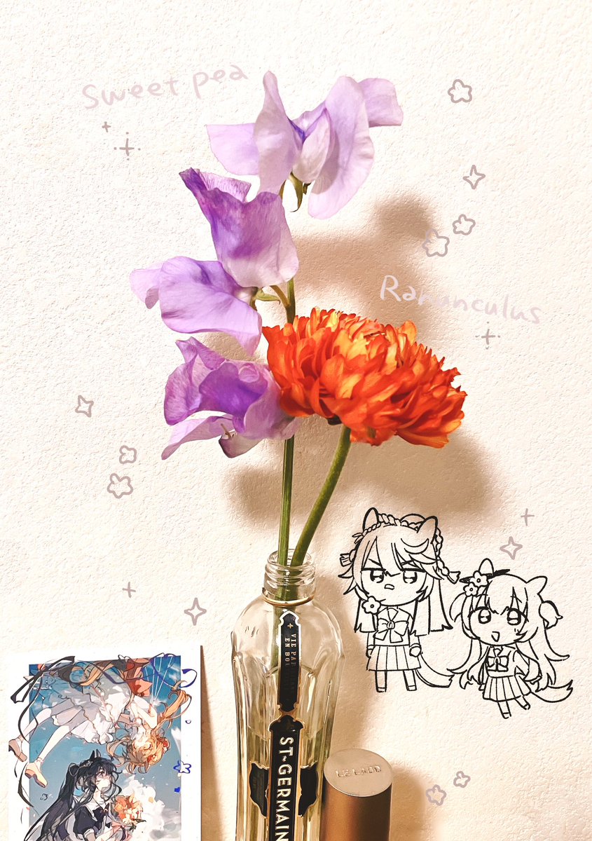 日本画(35)　ポピー 週末に買ったラナンキュラスとスイートピー、背の高さといい、色といい