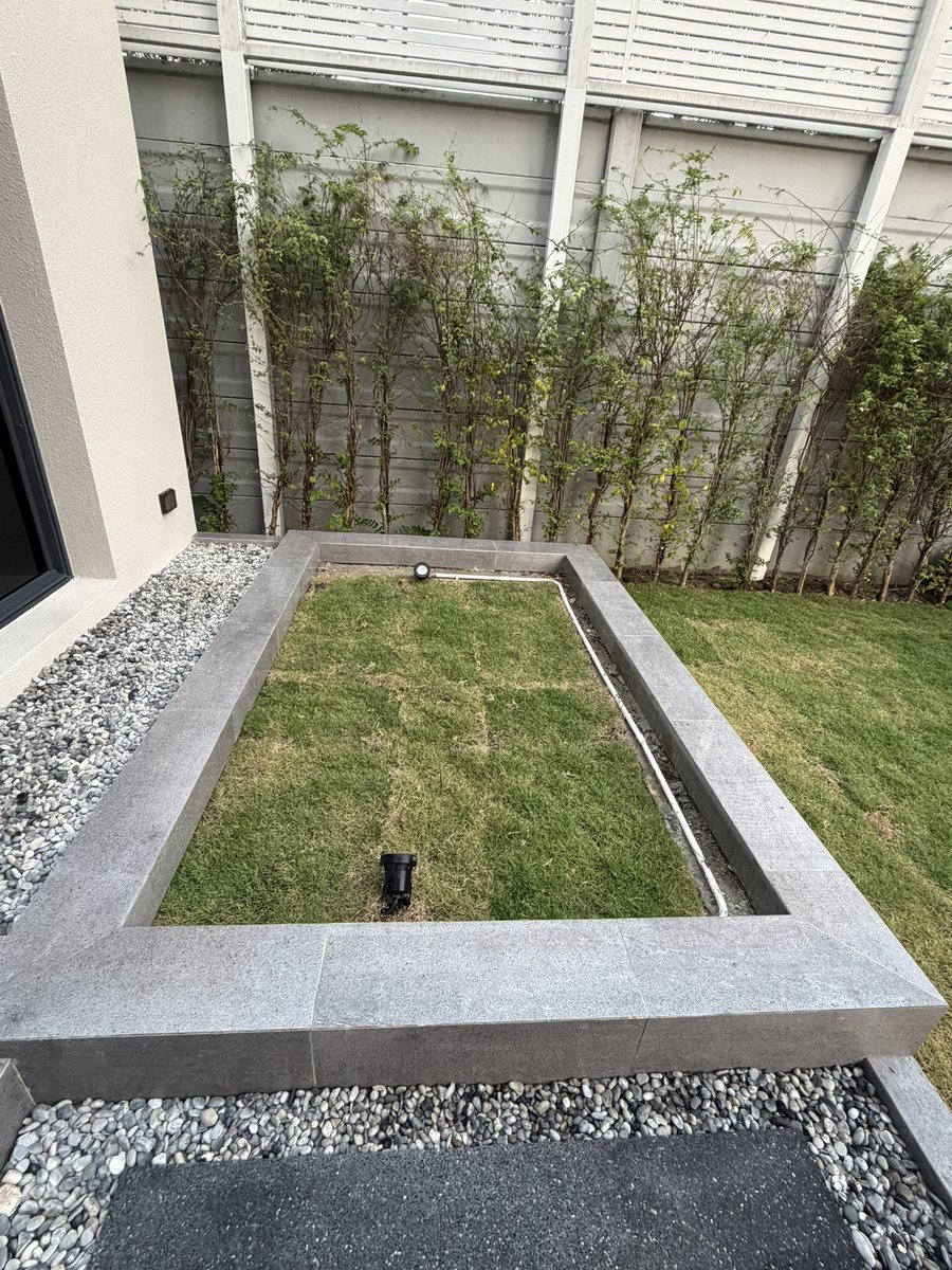 MonkiiPP's tweet image. ต้นอะไรจะมาลงนะพรุ่งนี้

#NuNew @CwrNew