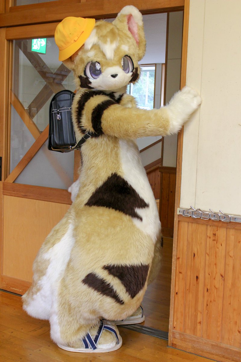 小学生レルカちゃん🏫
#FursuitEveryday
#RainbowFurs