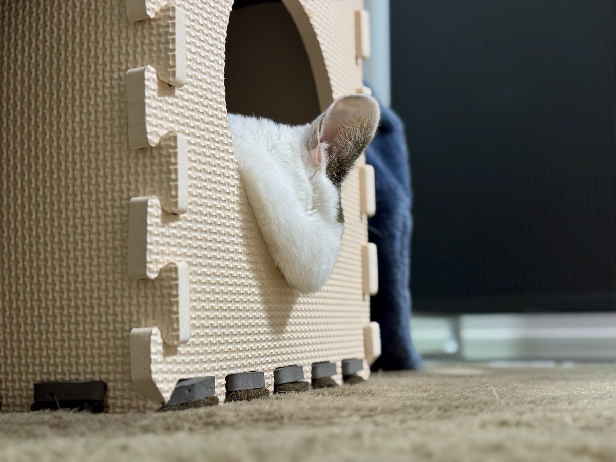 ほっぺたすんごい垂れてるよ