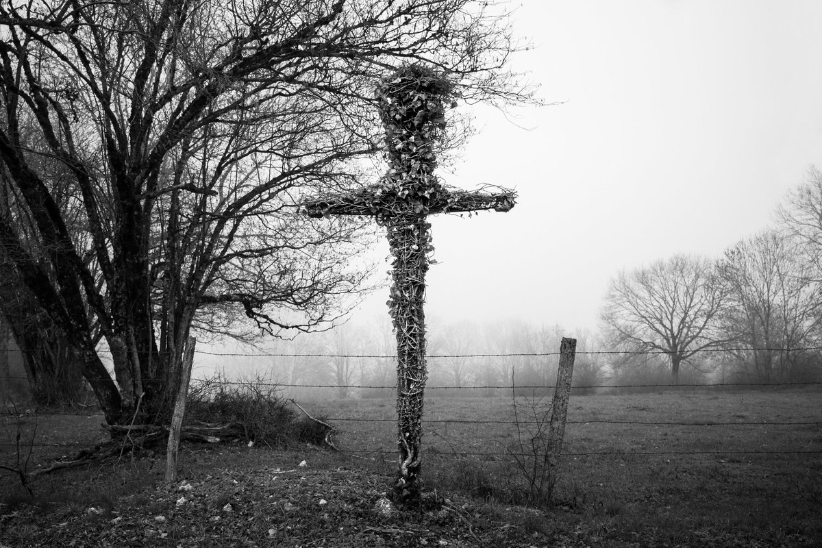 devisu_art's tweet image. Noire campagne 📷