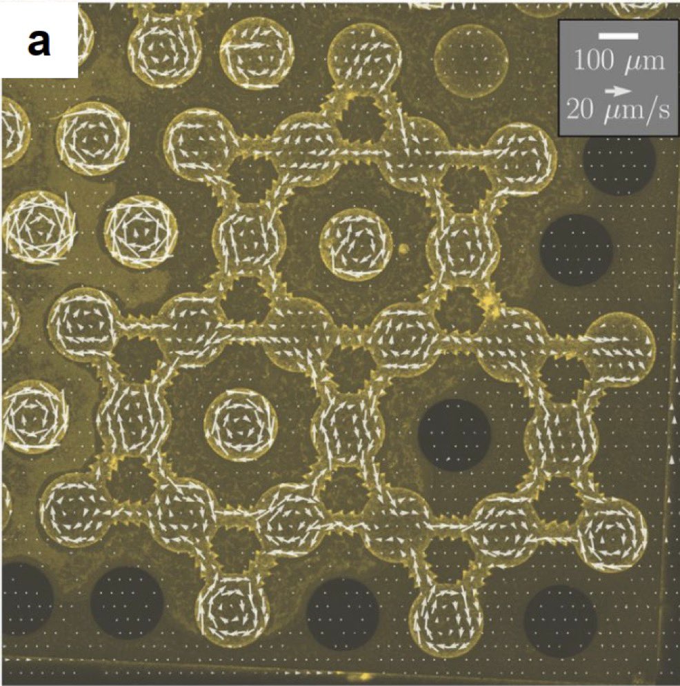 Takeuchi Lab tweet media