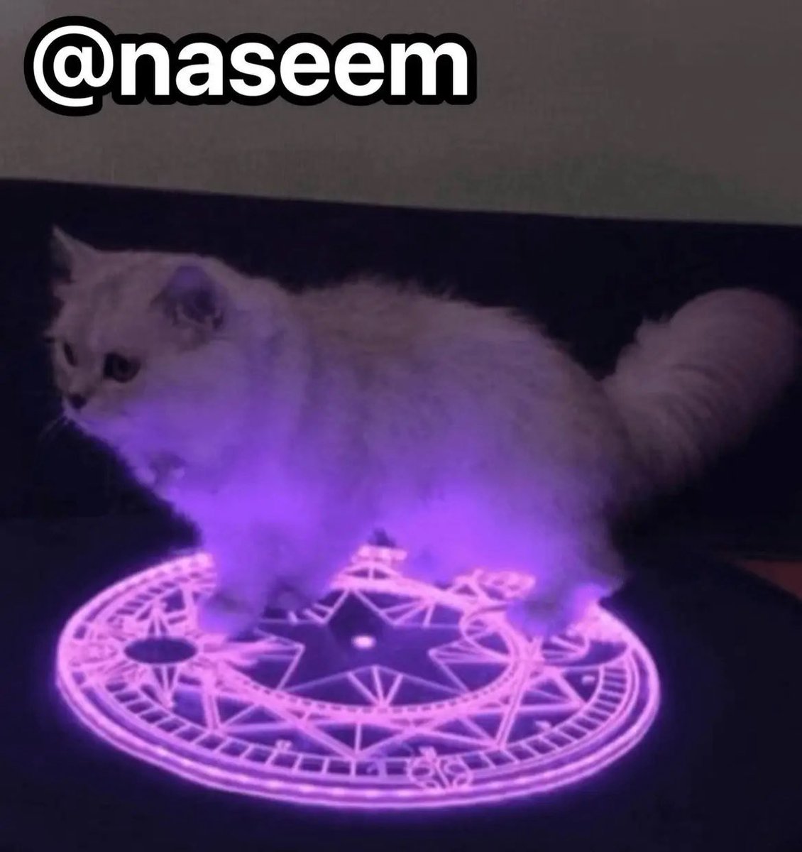 StarPlatinum_'s tweet image. How to become the most feared sniper

The case of Naseem:

- pseudonymous
- enter crypto in the Solana ecosystem 
- first money ever made comes from crypto
- watch others post insane PnL screenshots
- decide the only edge that matters is being earlier than everyone else

- start…