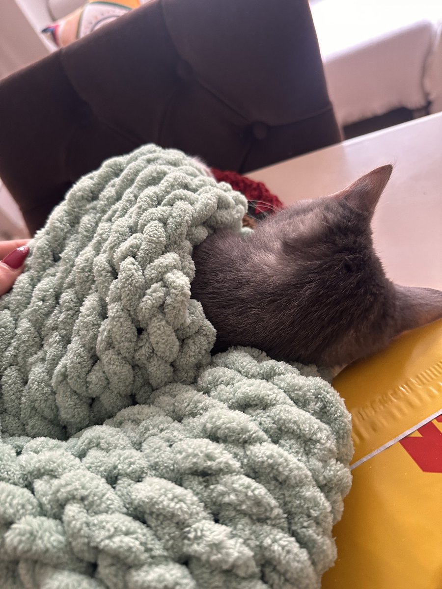 zeyno_citlembik's tweet image. haydin o yatarotti