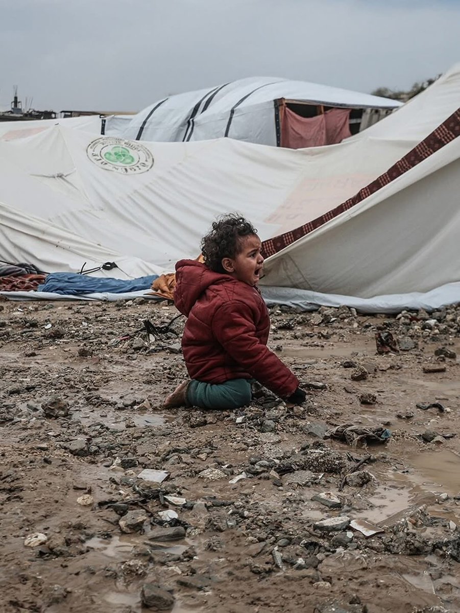 KNEECAPCEOL's tweet image. Palestine today. 

5 people dead due to hypothermia. 

Hypothermia caused by Israel blocking all live saving supplies from entering.

Just a few miles away, on the other side of seized lands, military walls and tanks, Israeli kids eat fast food and play in swimming pools.