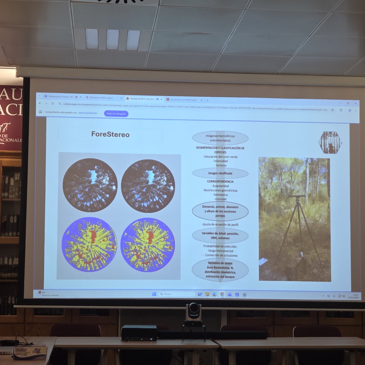 whatifbosques tweet media