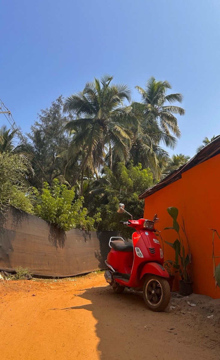 En mi galería; el 5% son fotos con significado, 95% son fotos irrelevantes que guardo solo porque la combinación de colores me gusta.