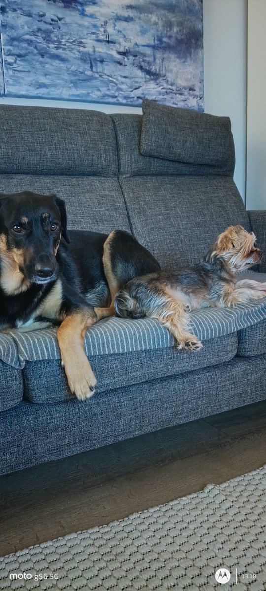 Käytiin moikkaamassa Leeviä, yhtä känkkäränkkä kuin ennenkin 😄🥰