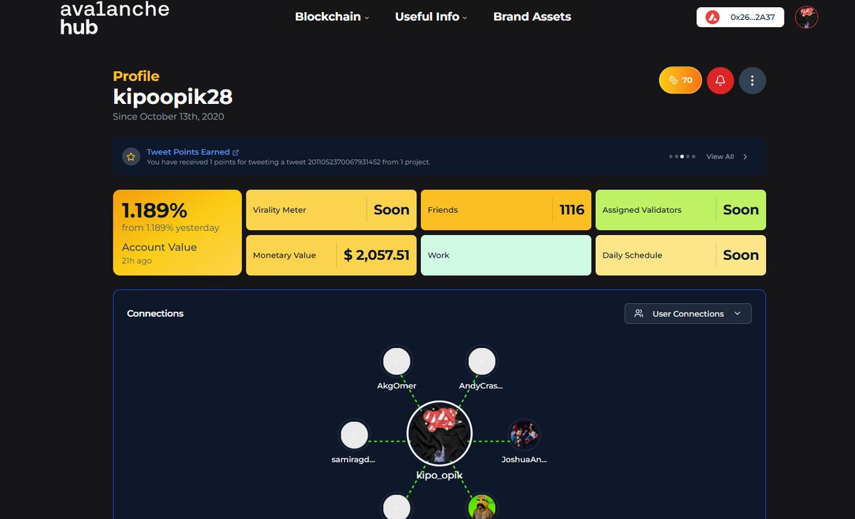 Just explored $AVAX Hub v2 and wow—syncing across tools feels seamless

clean layout, intuitive metrics, and a visual network map that actually makes sense

just clean focus that nudges you toward quality over quantity
#Avalanche <a href="/avax/">Avalanche🔺</a> 
 #avalancheHub avax.tech