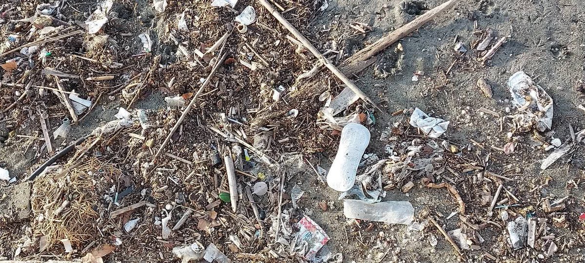 rome_sea's tweet image. #Ostia, un #mare di #immondizia :

Volete camminare sulla #spiaggia di #Roma ? avrete 2 possibilità ( #Thread )

1-Spiagge "libere": @Roma imponeva agli assegnatari di lavorare solo i 3 mesi d' #estate e poi sbaraccare,quindi ci sono i #rifiuti accumulati da #settembre 

Segue-&amp;gt;