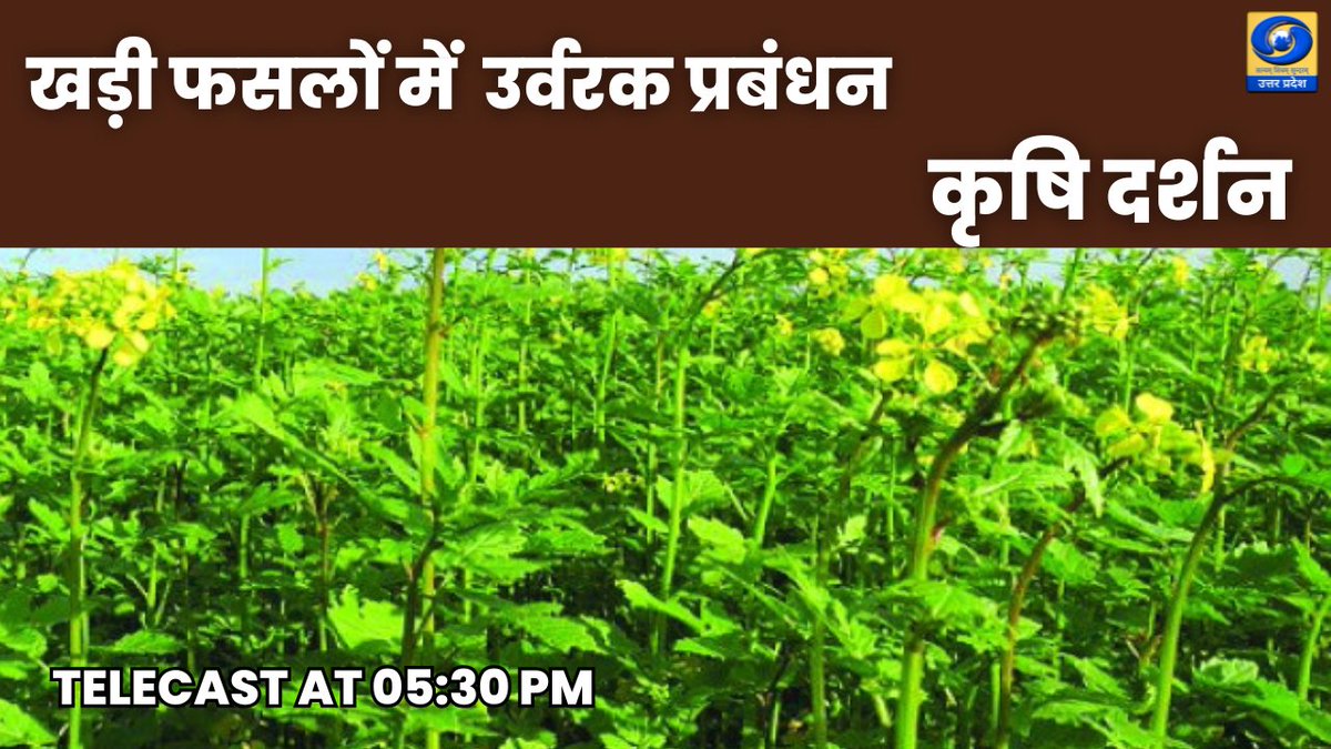 DDUttarPradesh's tweet image. 🔴खड़ी फसलों में उर्वरक प्रबंधन।
05:30 PM | DDUP
👇👇👇
▶youtu.be/FzsFy0X4pGs

#FertilizerManagement #CropYield #AgricultureTips #BalancedNutrition #FarmersGuidance #खड़ीफसल #कृषिप्रबंधन #उर्वरक #कृषिसलाह #फसलउत्पादन