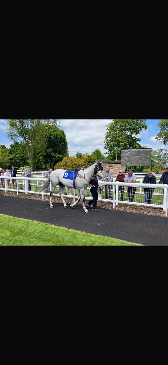 Daniel rees tweet media