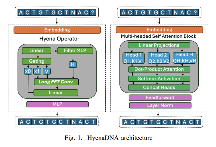 Underfox3's tweet image. In this paper is presented a chunked FFT convolution approach enabling 450K length sequence by 450K length filter convolutions on an Alveo U200 FPGA with 2.8 MB BRAM through chunking and overlap-add reconstruction. #FPGA 

arxiv.org/pdf/2601.06065