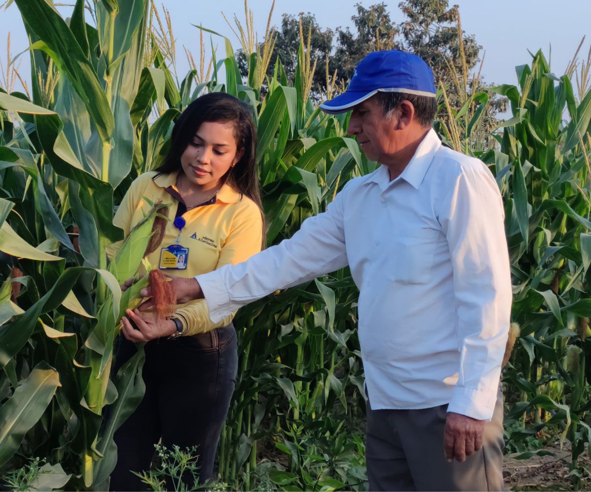 ¿Te gustaría conocer mejor a las entidades financieras que respaldamos en #Latam? 

🤝 Trabajamos estrechamente con ellas para facilitar el acceso de la población más desfavorecida a los servicios financieros y para promover las finanzas sostenibles. 

programatif.com/proyectos