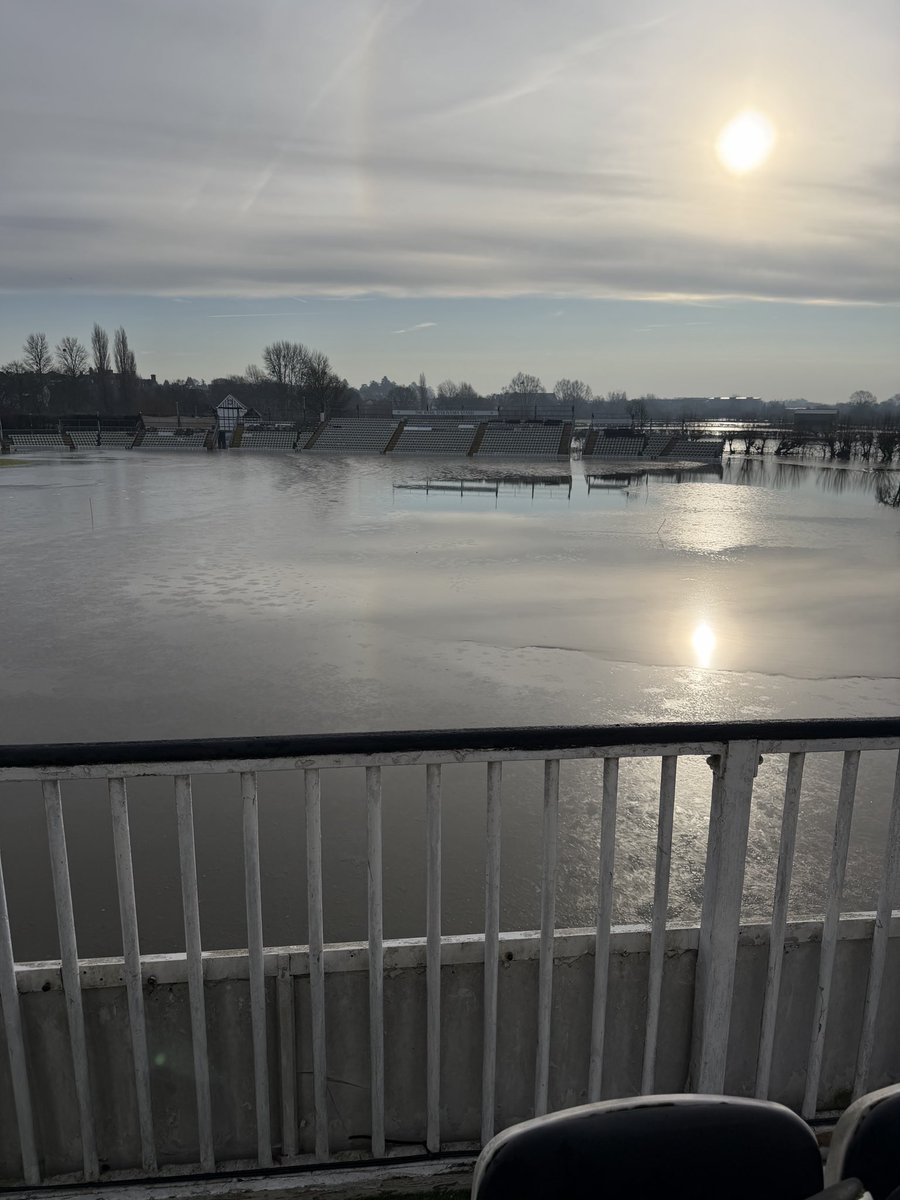 Stephen Manfield tweet media